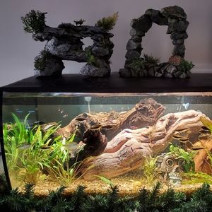 Fish tank rocks